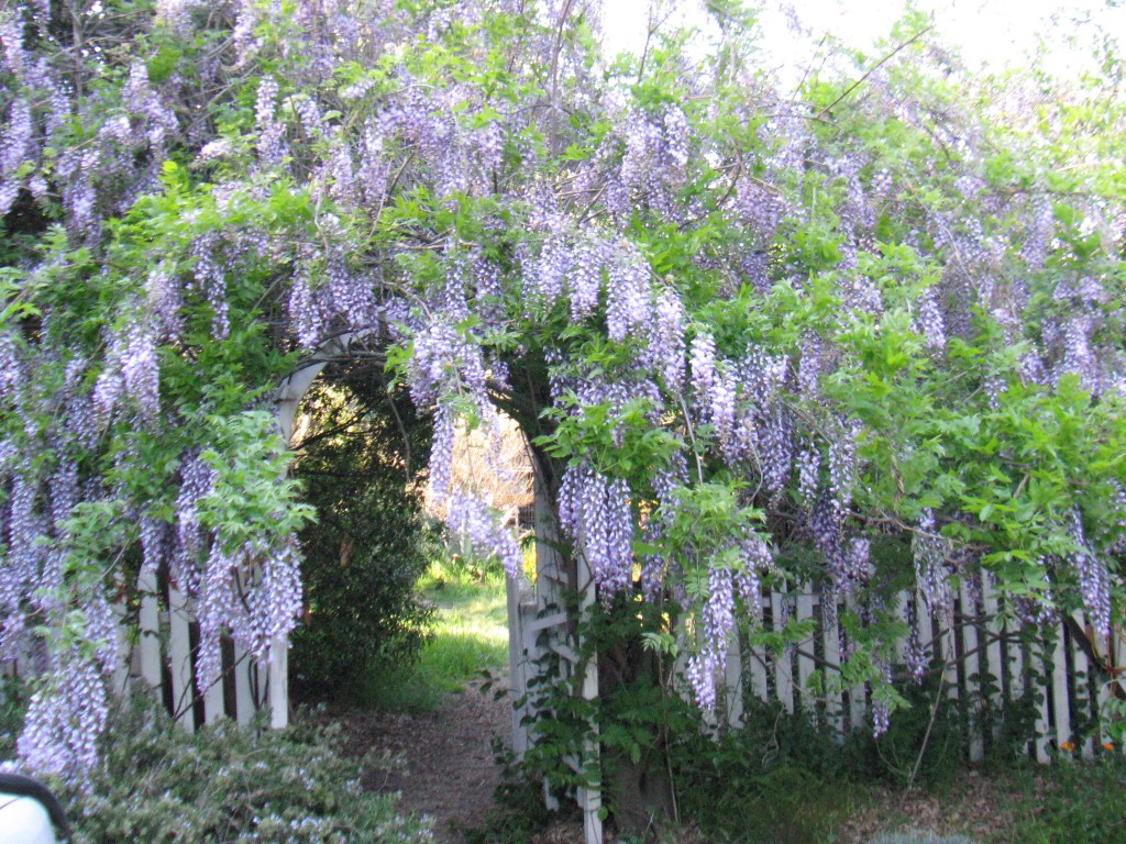 Hypnotherapy A Gate way for Change...